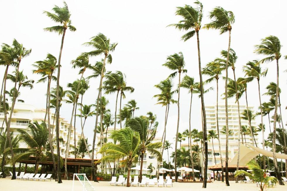 Dans Les Amériques: chapitre 0.