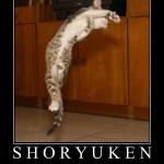 Coup de Coeur des Rédacteurs de Septembre 2012