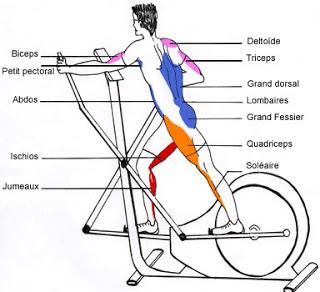 Le vélo elliptique mobile