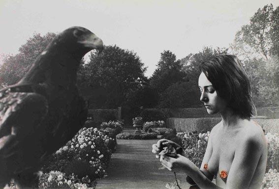 Collage by Penelope Slinger at the Riflemaker Contemporary Art Gallery