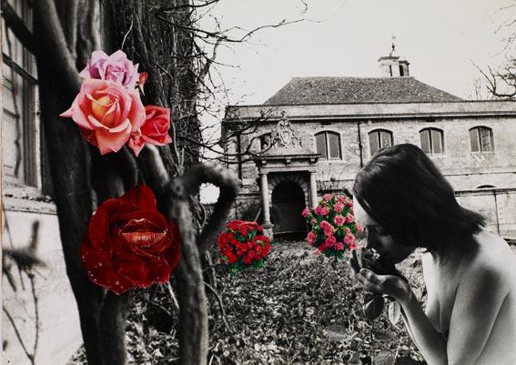 Collage by Penelope Slinger at the Riflemaker Contemporary Art Gallery