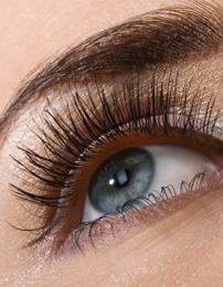 mascara boudoir du regard