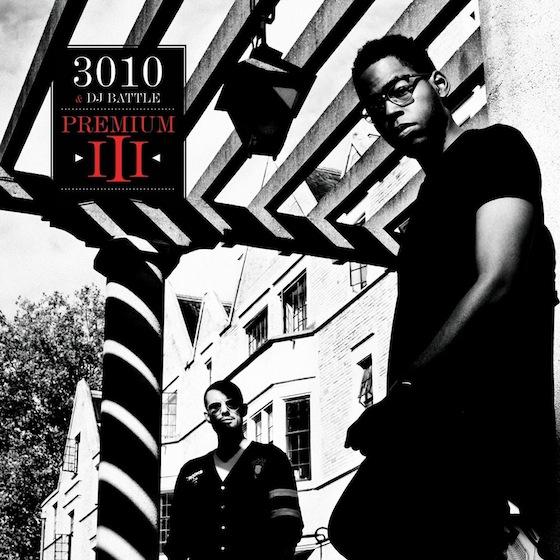 3010 - Differentes Vues (CLIP)