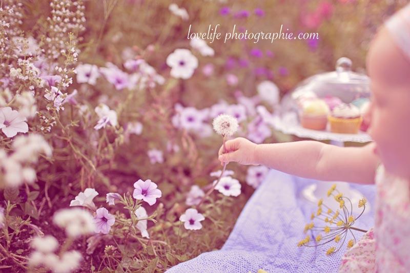 photographe bébé 78 75 92LovelifePhotographie2012 10 Olivia, séance photo bébé cupcakes Saint Germain en laye   photographe bébé 75,78,92   Daisycake