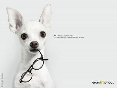 Grand Optical Black Collection 2010