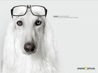 Grand Optical Black Collection 2010