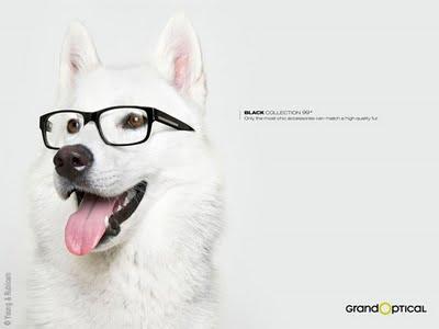 Grand Optical Black Collection 2010