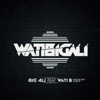 Regardez le teaser du clip WatiBigAli de Big Ali Feat. Wati B