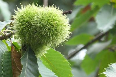 Un aprés midi de fin d' été....