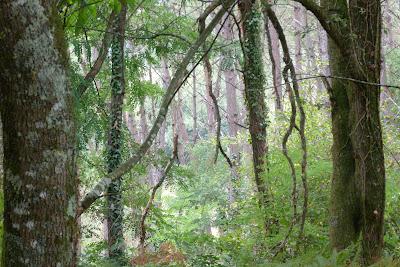 Un aprés midi de fin d' été....