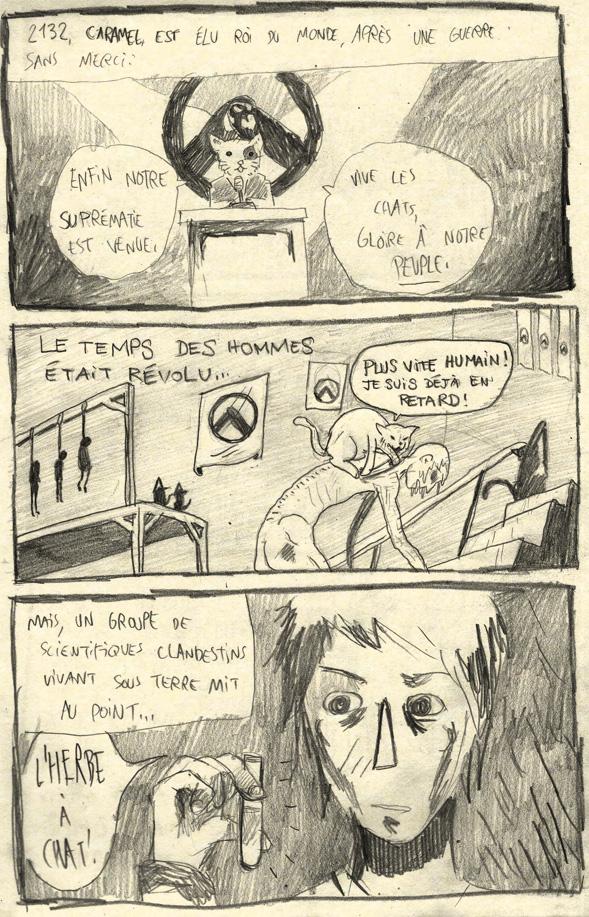 La vraie nature des chats