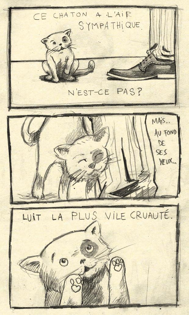 La vraie nature des chats