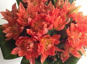 semaine mots photos instagram (48) {sticks lèvres gagner}