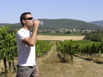Les mains de France : Le vignoble de Gigondas