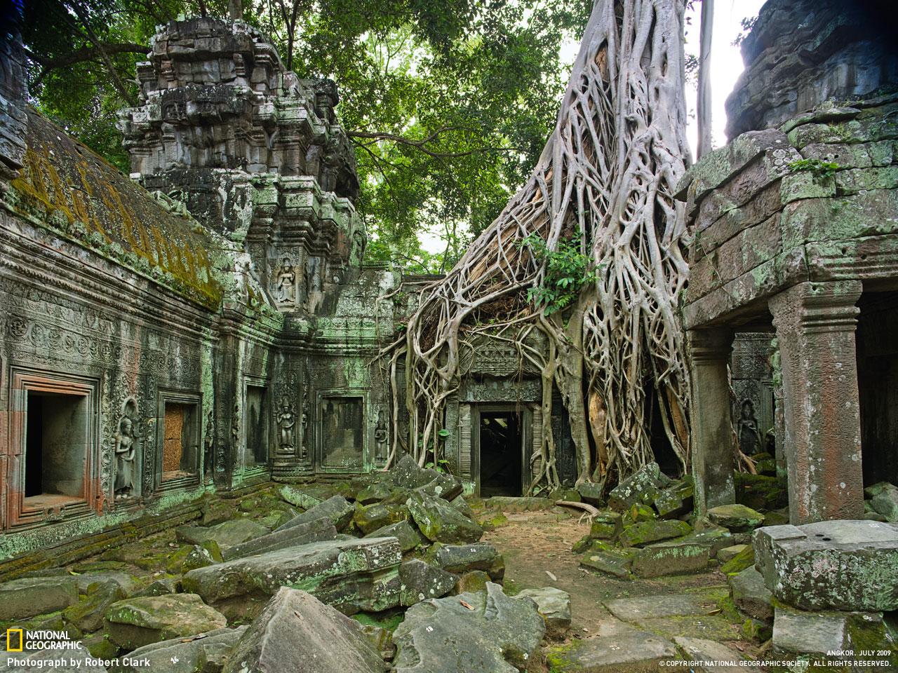 Dans la jungle : 
Cette endroit serait propice pour le prochain Indiana Jones non ! 
Source : national géographie
Photo : Robert clark