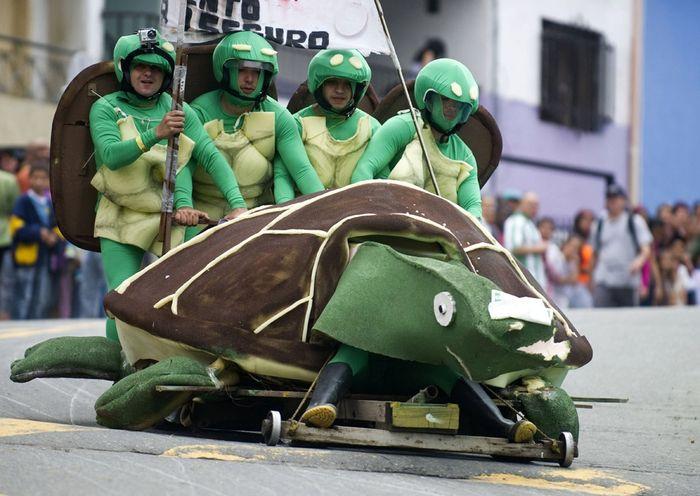On à retrouvé les tortues ninjas !
source : web