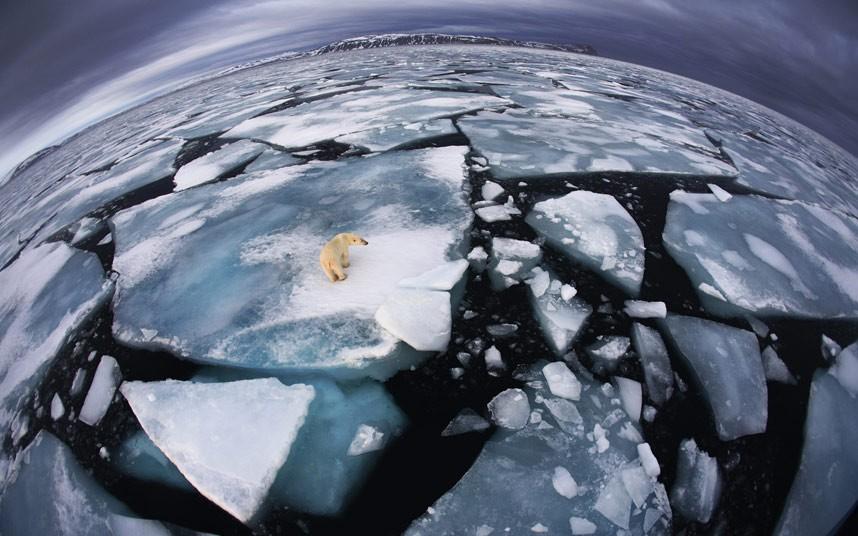 Anna (la photographe) était sur un bateau à Svalbard (à mi-chemin entre la Norvège et le Pôle Nord) quand elle a vu l’ours polaire à environ quatre heures du matin..
Source : le télégraphe