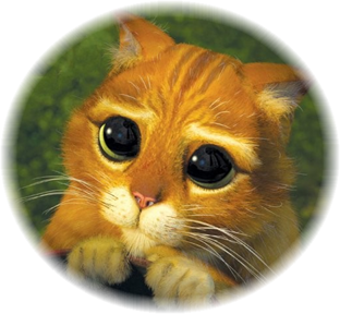 LE Beauty's Flop de l'Eté par Hei Poa