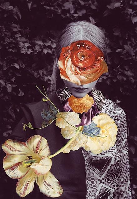 Collage: growing flowers