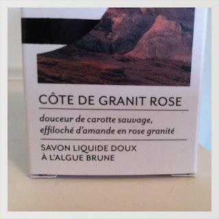 Viens, je t’emmène en Bretagne ...