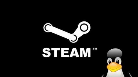 Steam Linux : coup d’envoi pour les développeurs