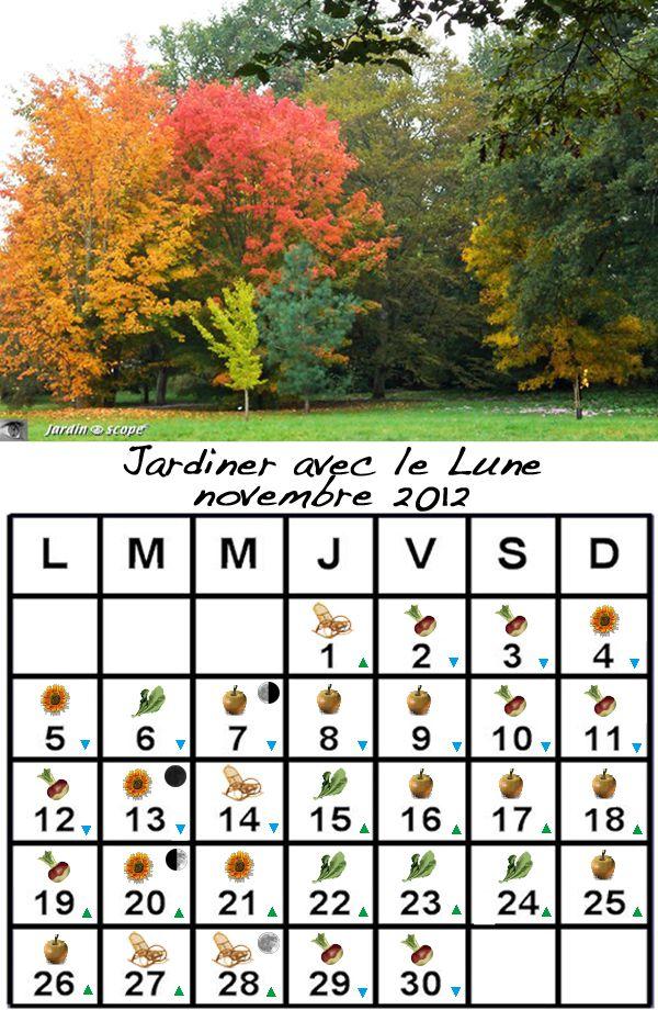 Jardiner-avec-la-Lune-Novembre-2012