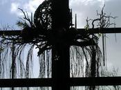 vous changiez montre