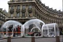 Les temps forts de TDNP :  Les Bulles à projets (Dreamday)