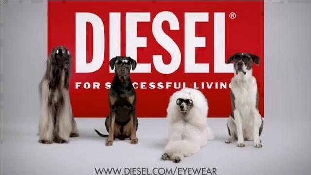 Diesel collection de lunettes de soleil 2012 !