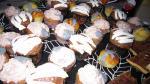 [Recette] Cupcakes d’Halloween