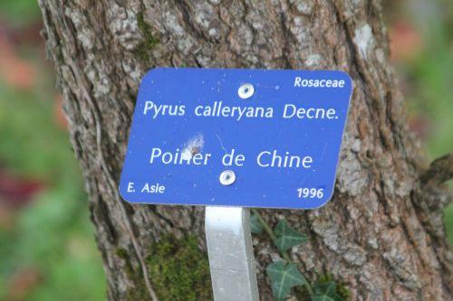 barres 13 oct 2012 077.jpg