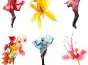 L'affaire creme poulet curry