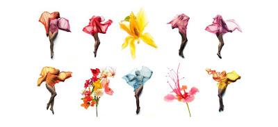 L'AFFAIRE DE LA CREME AU POULET CURRY