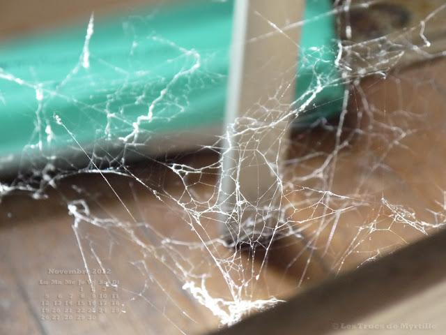 Fonds d'écran - Novembre 2012 (avec et sans calendrier)