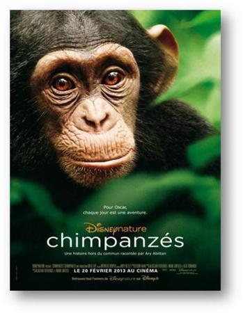 Chimpanzés : Découvrez la bande annonce et l'affiche du film !