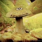 recette clafoutis forêt par Malicia Flore