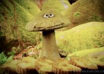 Clafoutis aux pommes