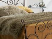 Croisée: cher plumard