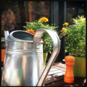 aunomi 366 - septembre 2012 18_09_12_IMG_7245