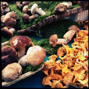 aunomi 366 - septembre 2012 28_09_12_IMG_7447