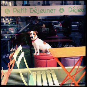 aunomi 366 - septembre 2012 13_09_12_IMG_7138