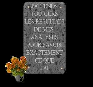 bassin et coquille de soi