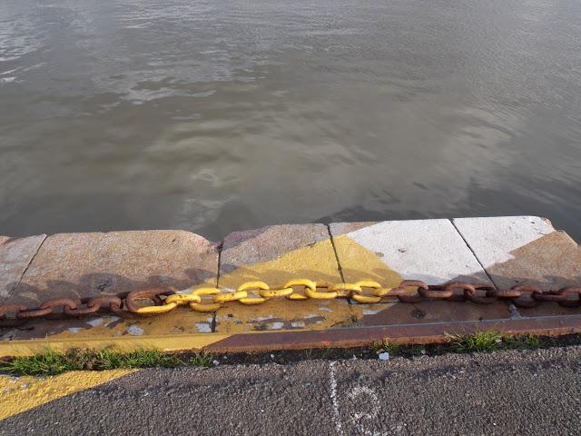 bassin et coquille de soi