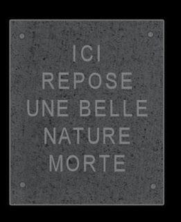 bassin et coquille de soi