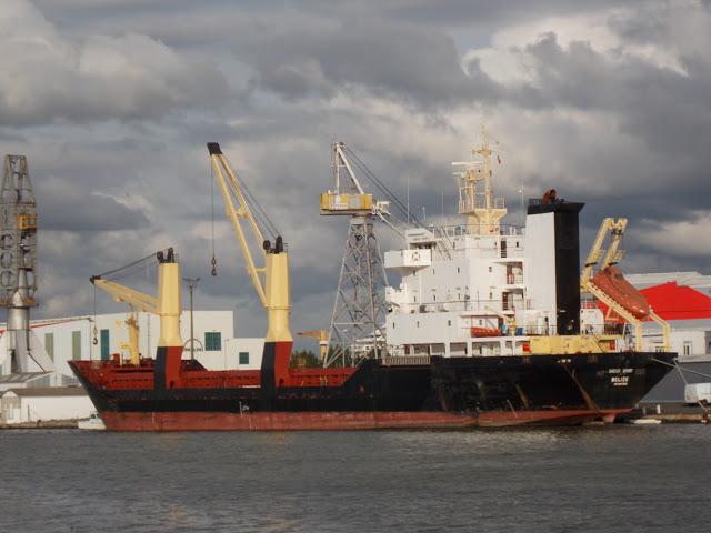 bassin et coquille de soi