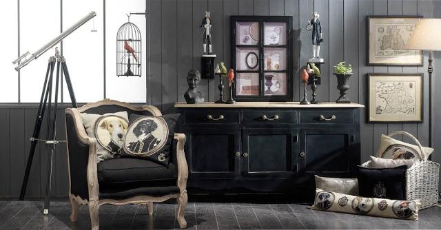 Cabinet de curiosité Cabinet de curiosité