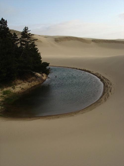 1Une-dune-en-Oregon.jpeg