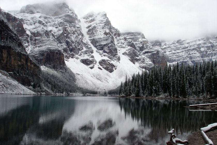 Les forêts les plus extraordinaires du monde