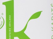 Test masque pour Karité