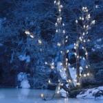 La Lumière au pays des fjords par Rune Guneriussen !